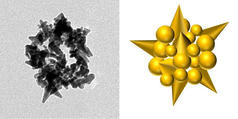 Vírus vira operário da nanotecnologia