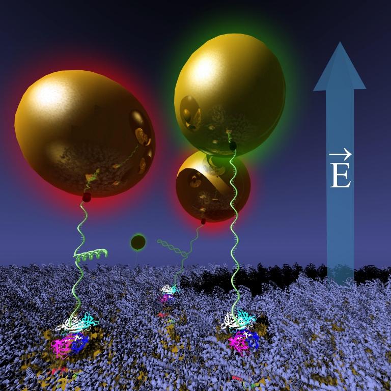 Nanomotor manipula moléculas e até vírus
