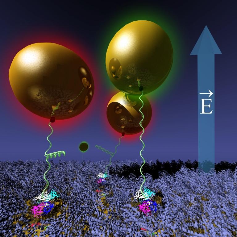 Nanomotor manipula molculas e at vrus