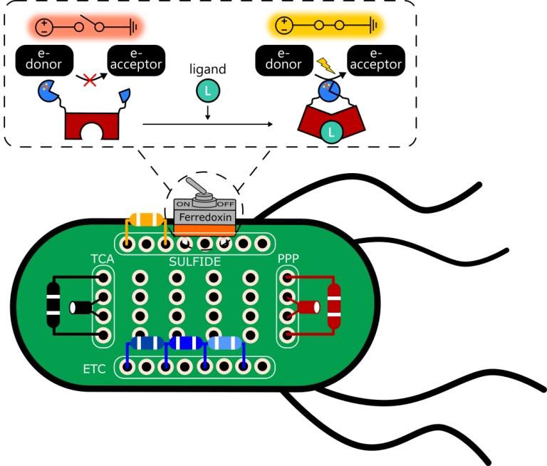 Interruptor em uma cÃ©lula eletrifica a vida