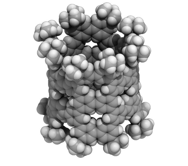 Nanotubo de benzeno nasce 