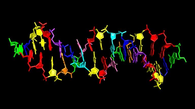 Hachimoji: DNA sinttico de oito letras ajuda a imaginar vida aliengena