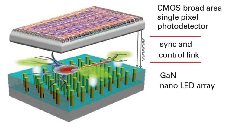 Chipscópio, o microscópio em um chip que pode revolucionar a medicina