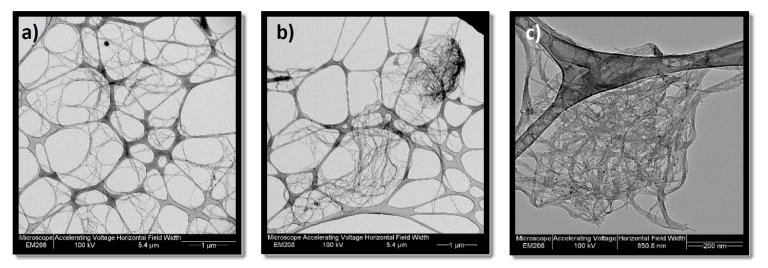 Nanotubos de carbono são ideais para crescimento de neurônios