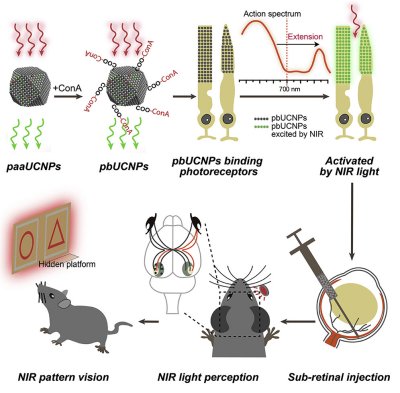 Nanopartculas podero dar viso noturna a seres humanos