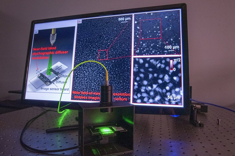 Microscópio sem lentes amplia amostra inteira de uma só vez