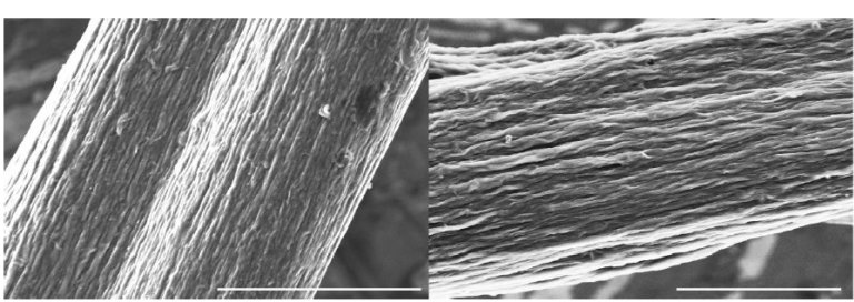 Fibras de nanotubos para substituir fios de cobre e cabos de elevador