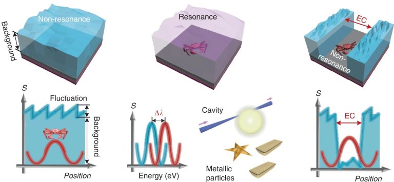 Microscpio ptico agora permite ver diretamente mundo da nanotecnologia