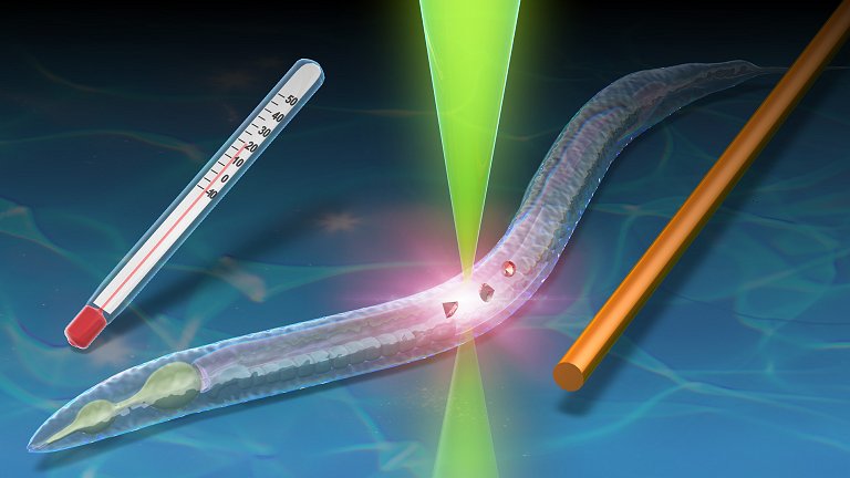 Termômetro de diamante monitora temperatura em nanoescala