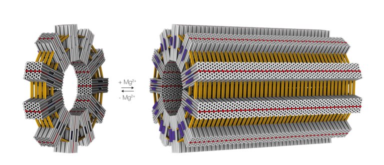 Tutorial de origami de DNA ensina nanofabricação passo a passo