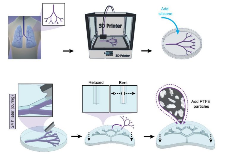 Bactrias funcionam como micro-impressoras 3D