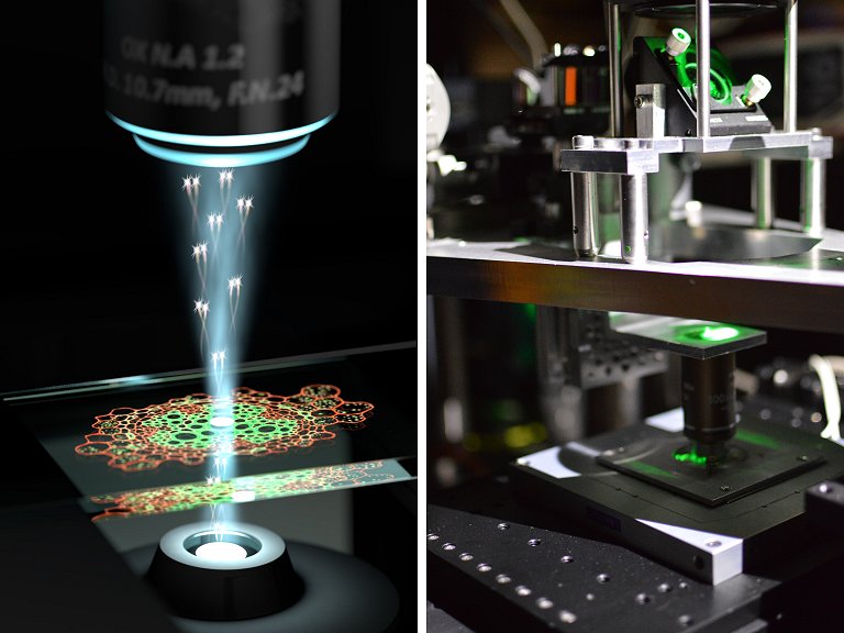 Microscópio quântico mostra detalhes nunca vistos em células vivas