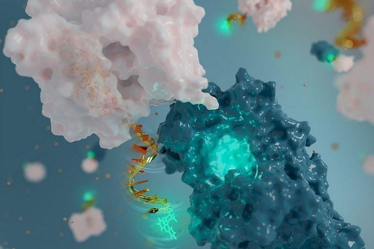 Nanoantena de DNA monitora proteínas emitindo sinais luminosos