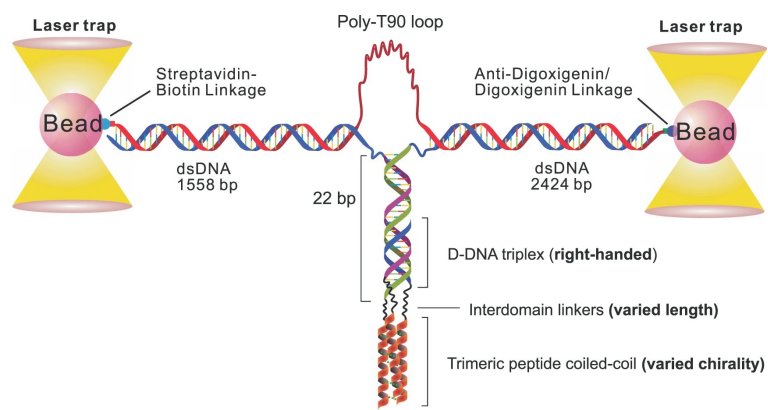 Molécula com superpoderes promete revolucionar nanotecnologia