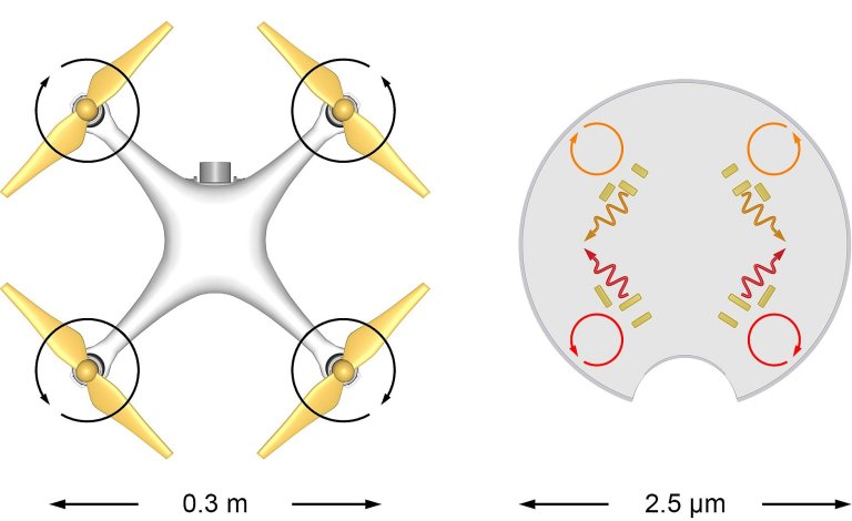 Microdrones com nanomotores movidos a luz