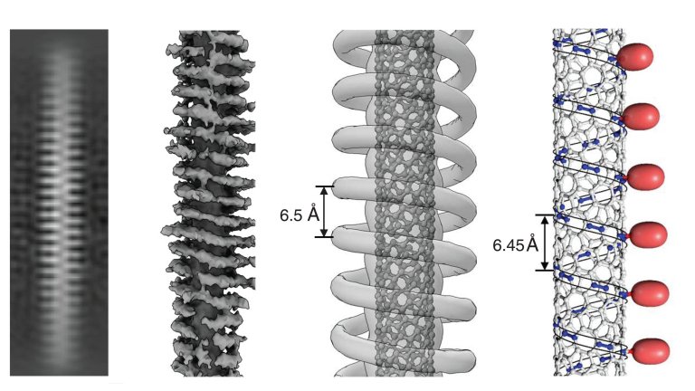 010165220808-supercondutor-nanotubo-dna-1.jpg