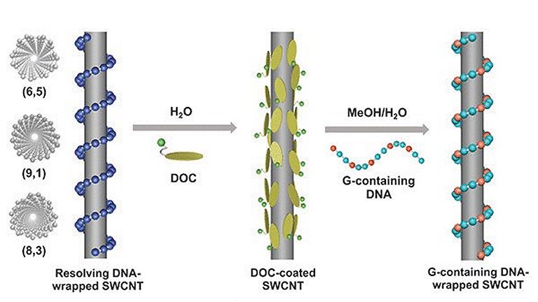 DNA pode transformar nanotubos em supercondutores a temperatura ambiente