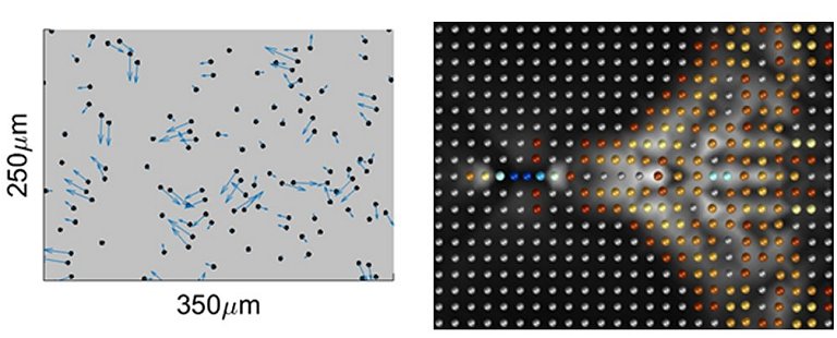 Quasipartculas so encontradas em sistemas clssicos pela primeira vez