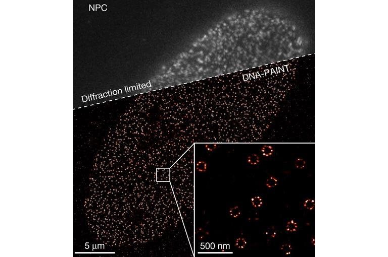 Microscpio ptico com resoluo ngstrom revoluciona como vemos a vida