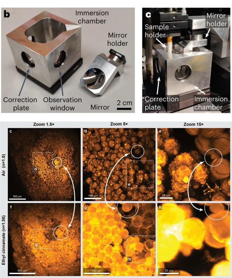 Microscpio feito com telescpio invertido  mais verstil e mais barato