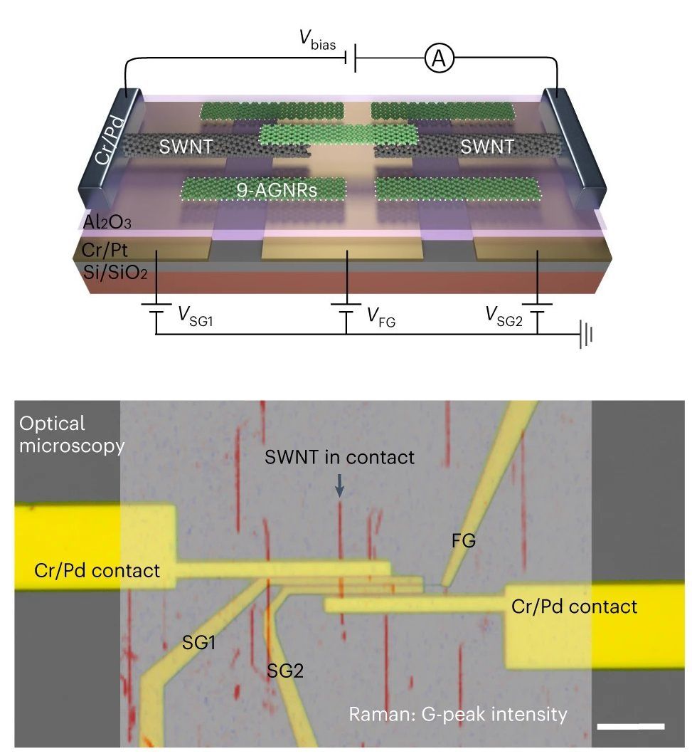 Nanofitas de grafeno so conectadas com eletrodos de nanotubos de carbono