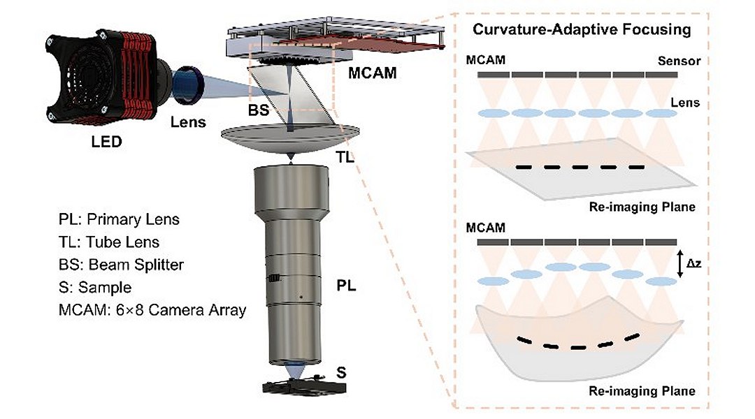 Novo microscpio fotografa amostras curvas instantaneamente