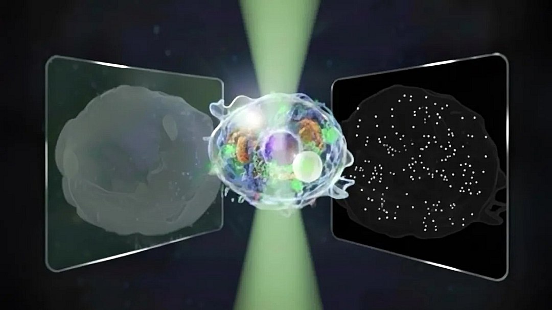 Grande Microscópio Unificado enxerga tanto em microescala quanto em nanoescala