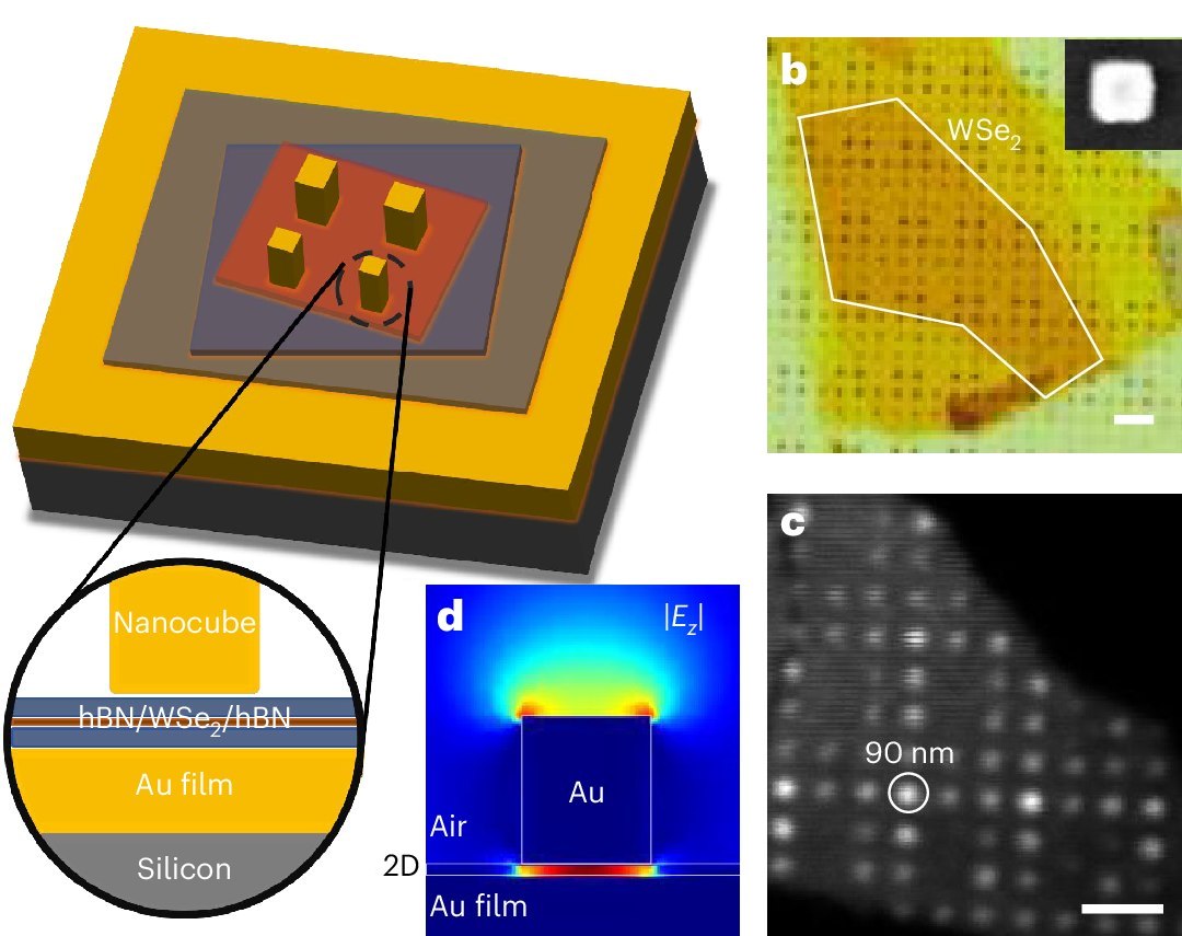 Quasipartícula escura agora brilha, com amplas aplicações nanotecnológicas