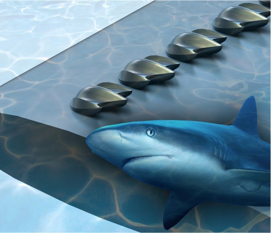 Escamas de tubarão serão usadas em drones, aviões e turbinas eólicas