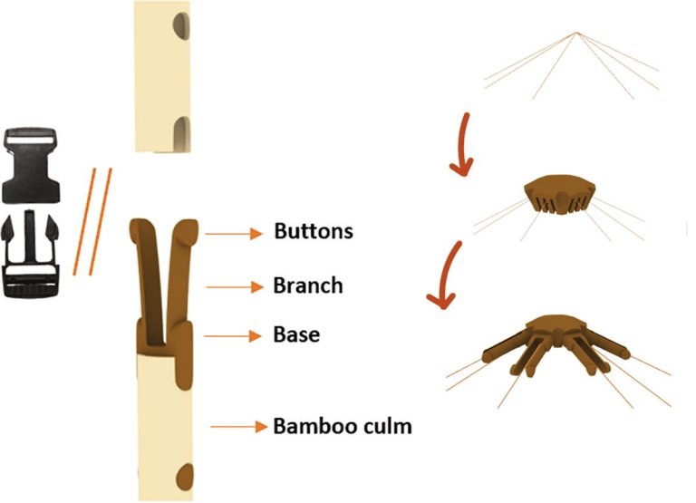 Conector para unir bambu