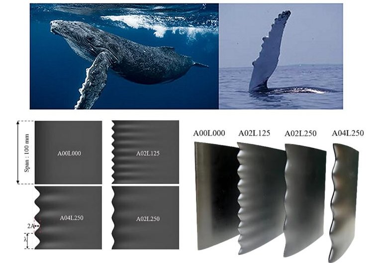 Hidrofólios inspirados em barbatanas de baleia reduzem cavitação e ruído