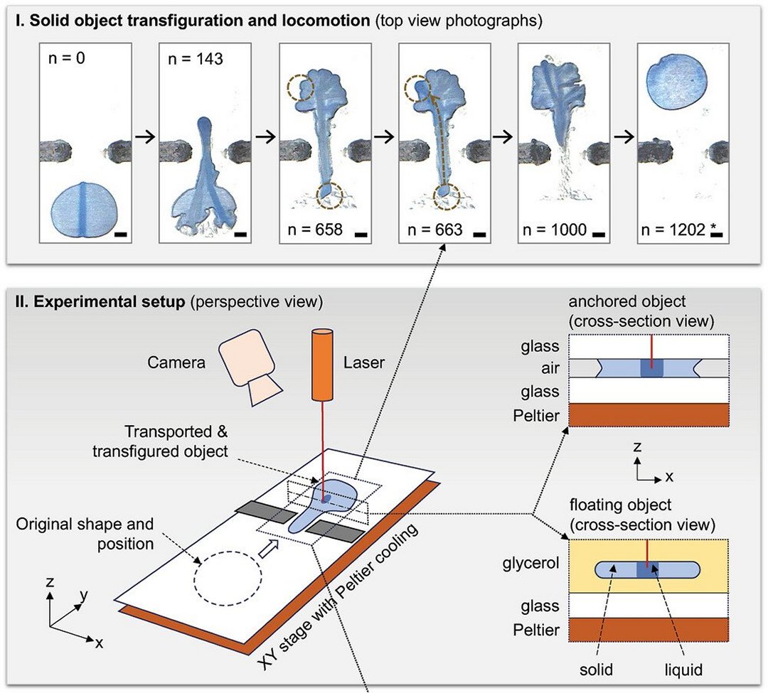 Materiais metamórficos mudam de forma moldados por laser