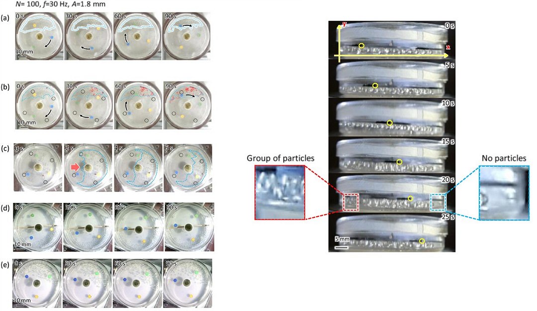 Motor de catraca converte vibra��es aleat�rias em movimento cont�nuo