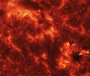 Telescópio capta imagens inéditas de explosões solares