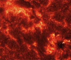 Telescpio capta imagens inditas de exploses solares