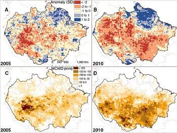 Amazônia teve nova seca histórica em 2010