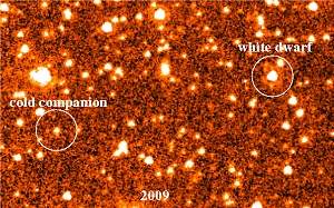 Exoplaneta ou estrela? Objeto celeste mais frio j fotografado