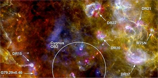 Herschel mostra ninho de estrelas do Cisne