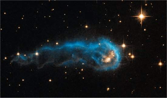 Hubble v lagarta csmica virando casulo de onde nascer estrela
