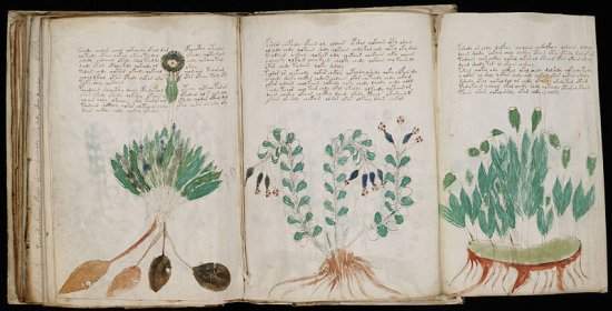 Brasileiros tentam decifrar misterioso Manuscrito Voynich