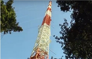 Torre Alta da Amaznia revela relaes da floresta com clima global