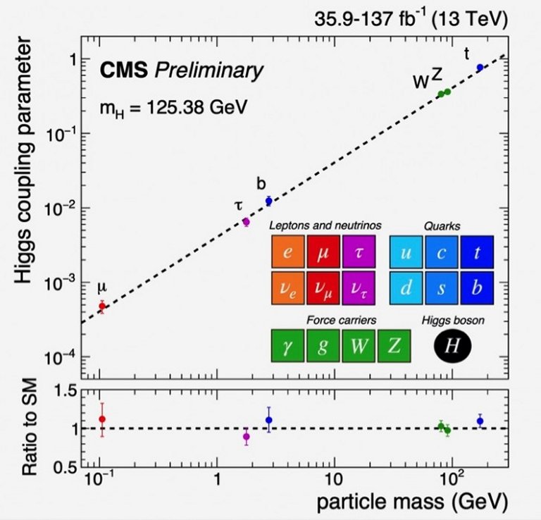 Interação do bóson de Higgs com um múon é detectada pela primeira vez
