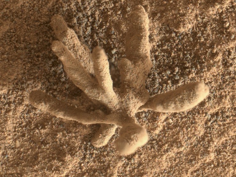 Rocha em formato de flor é encontrada em Marte por robô Curiosity