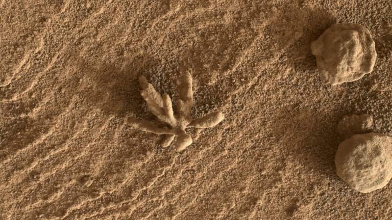 Rocha em formato de flor é encontrada em Marte por robô Curiosity