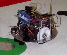 Um rob� no Para�so