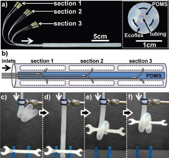 Tentculos robticos flexveis poder usar fora ou delicadeza