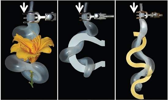 Tentculos robticos flexveis poder usar fora ou delicadeza