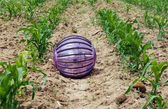 Rob esfrico inspeciona lavouras em agricultura de preciso