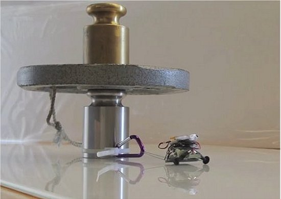 Microrrobôs erguem até 100 vezes seu próprio peso