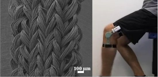 Fibra de nanotubo funciona como músculo eletromecânico